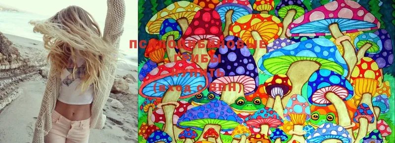 Галлюциногенные грибы Psilocybine cubensis Новая Ляля